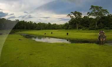 Nepal, Chitwan